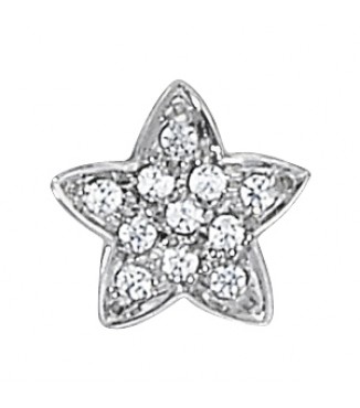 1/4 CTTW  STAR CLUSTER PEND