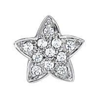 1/4 CTTW  STAR CLUSTER PEND
