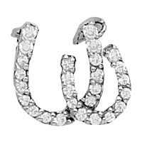 DOUBLE HORSESHOE