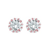 CZ RD HALO STUD